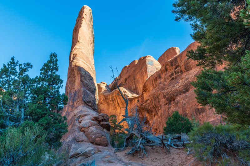 Devil's Garden Trail rock formations 