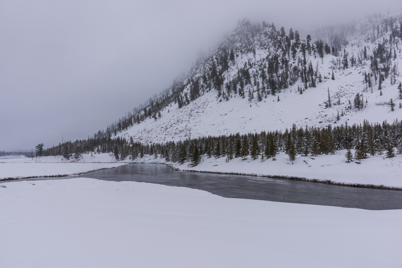 Madison River in the winter