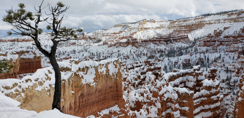  Bryce Canyon hoodoos with snow