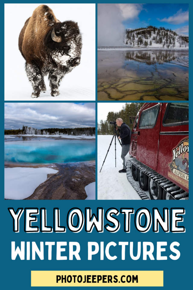 Yellowstone Winter Pictures