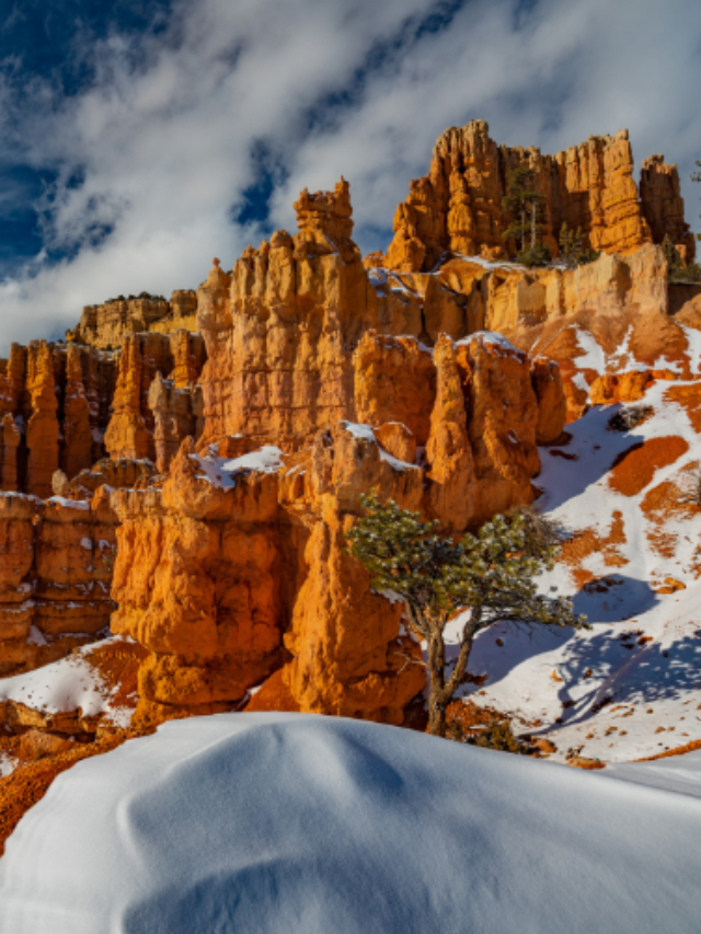 US National Parks in January Story