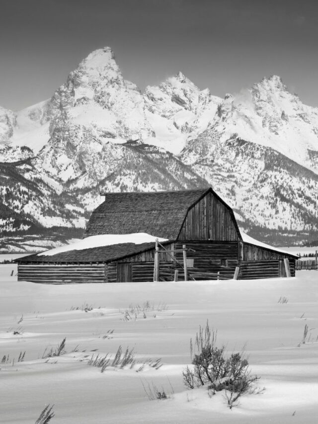Grand Teton National Park in January Story