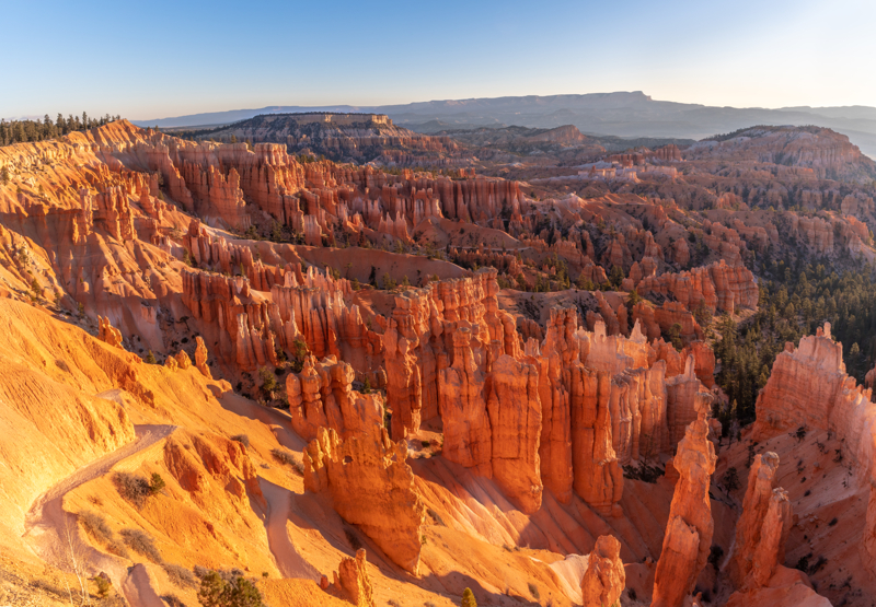 glowing hoodoos at Sunset Point 