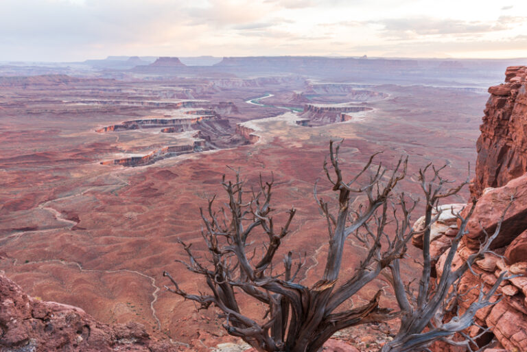 Canyonlands Sunset Photo Spots at Island in the Sky