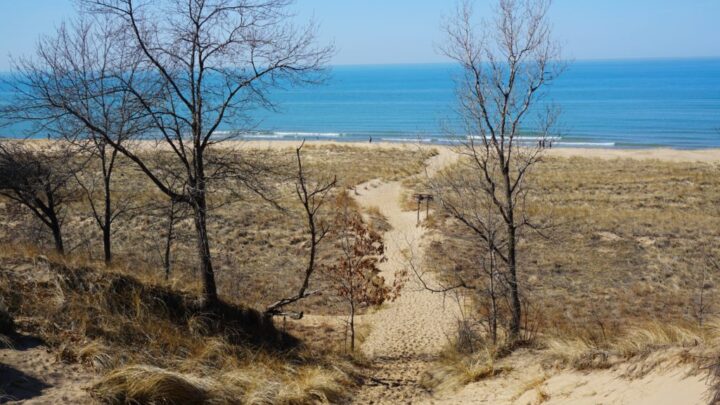 Image for 5 Incredible Indiana Dunes Trails
