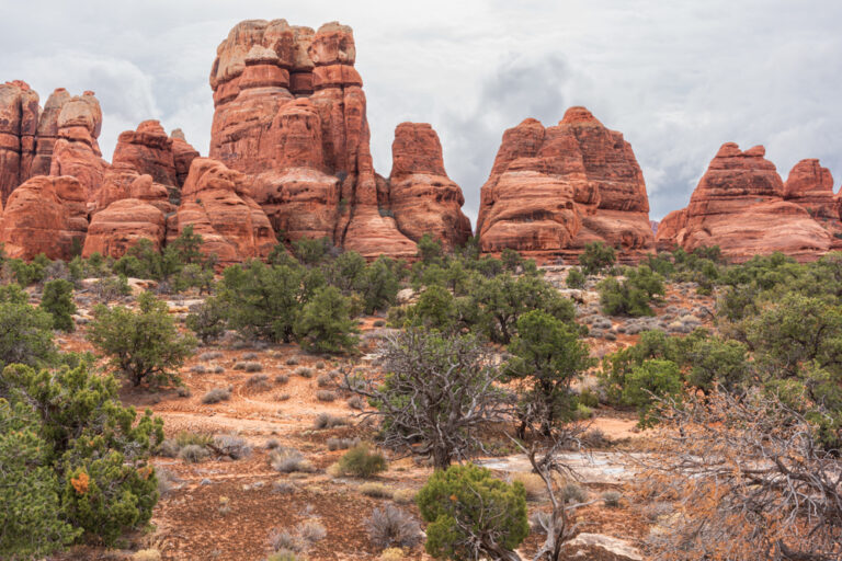 Things to Do in Moab in April