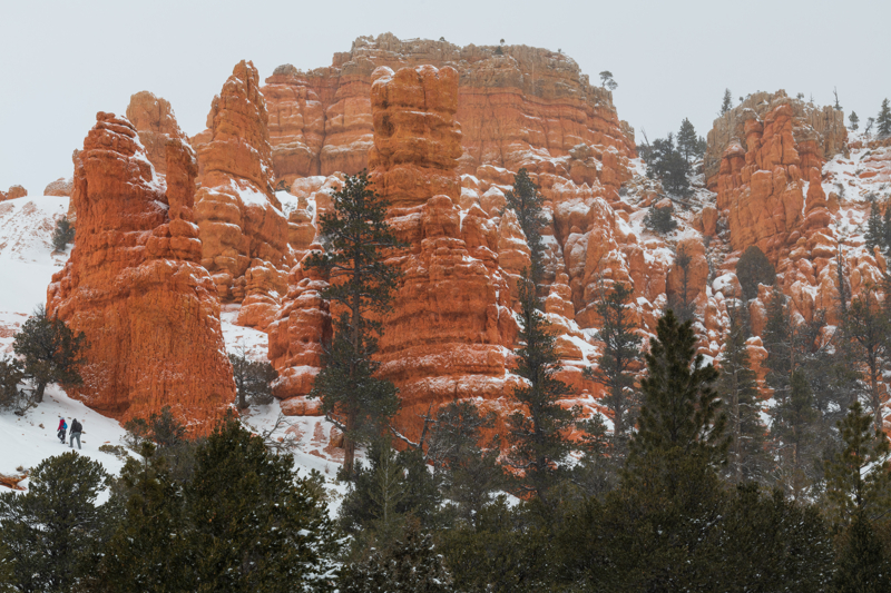 Red Canyon in a snow storm
