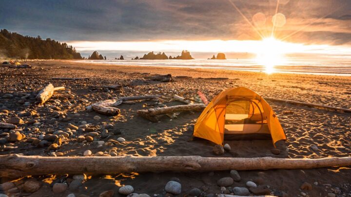 Image for Camping at Shi Shi Beach: Everything You Need to Know