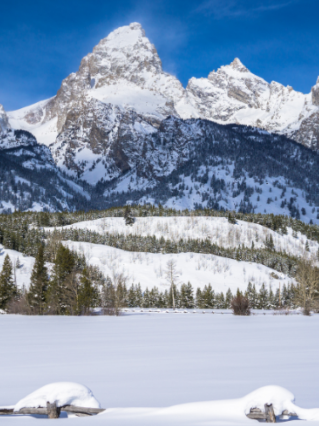 Grand Teton National Park Winter Activities Story