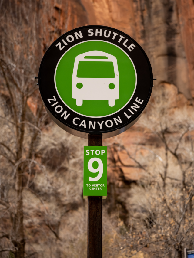 Zion National Park Shuttle Story