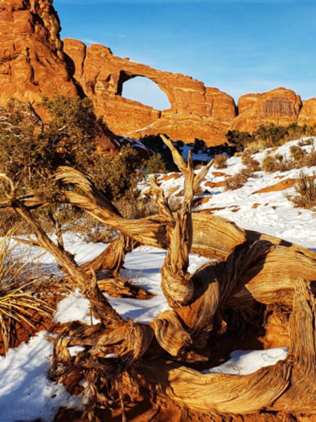 skyline arch with snow