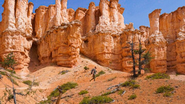 Image for Fairyland Loop Trail: The Most Underrated (and Jaw-Dropping!) Hike in Bryce Canyon National Park