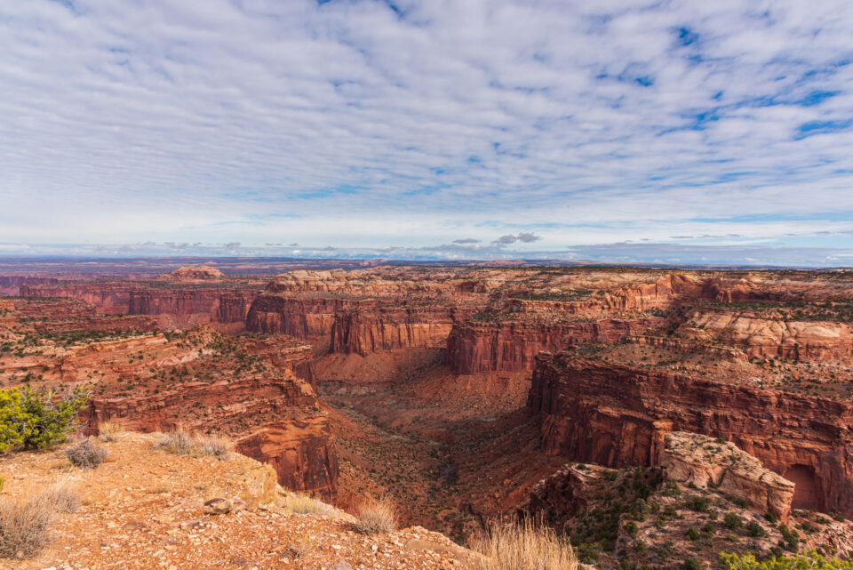 Views along the Canyonlands Scenic Drive