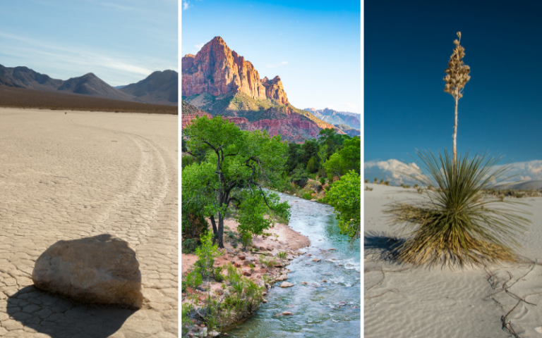 US Southwest National Parks in the Spring