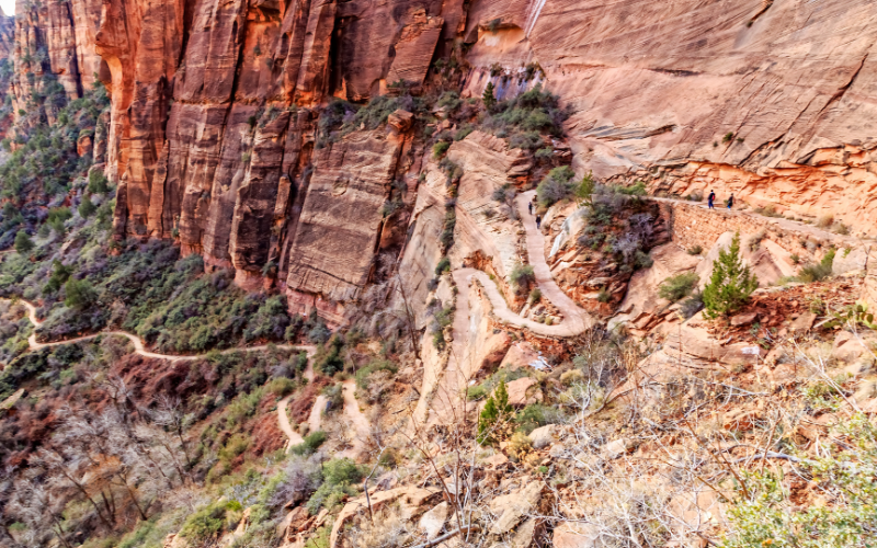 Walter's Wiggles on the Angel's Landing trail