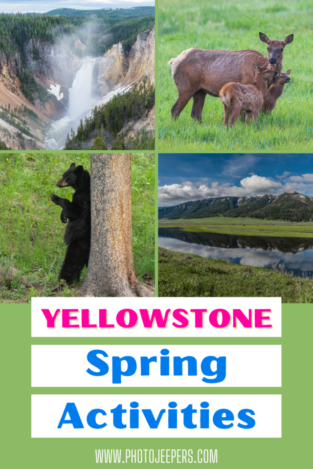 Yellowstone spring activities