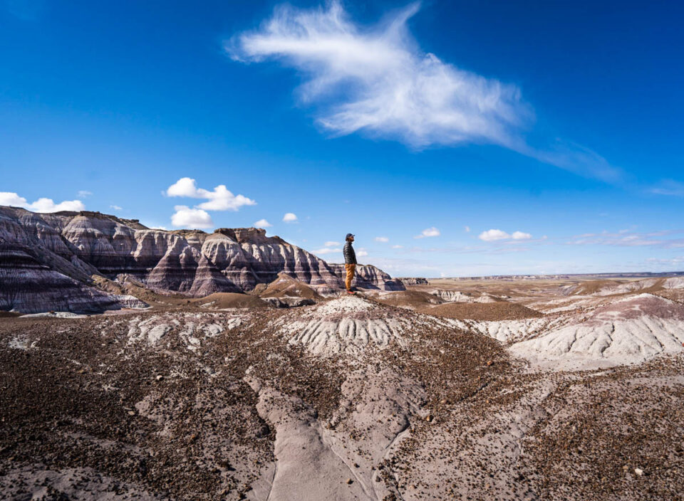 petrified-forest-national-park