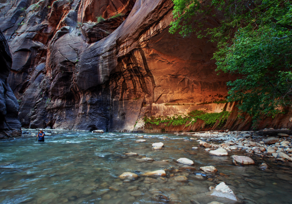 The Narrows hiking trail at Zion National Park