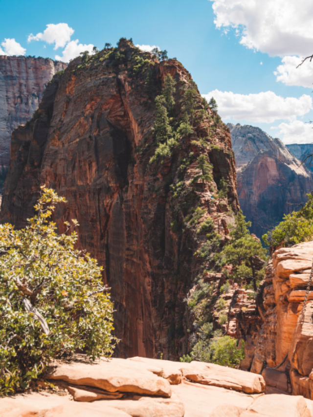 Zion National Park Spring Break Vacation Ideas Story