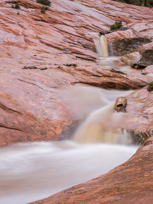 Zion National Park Spring Activities Story