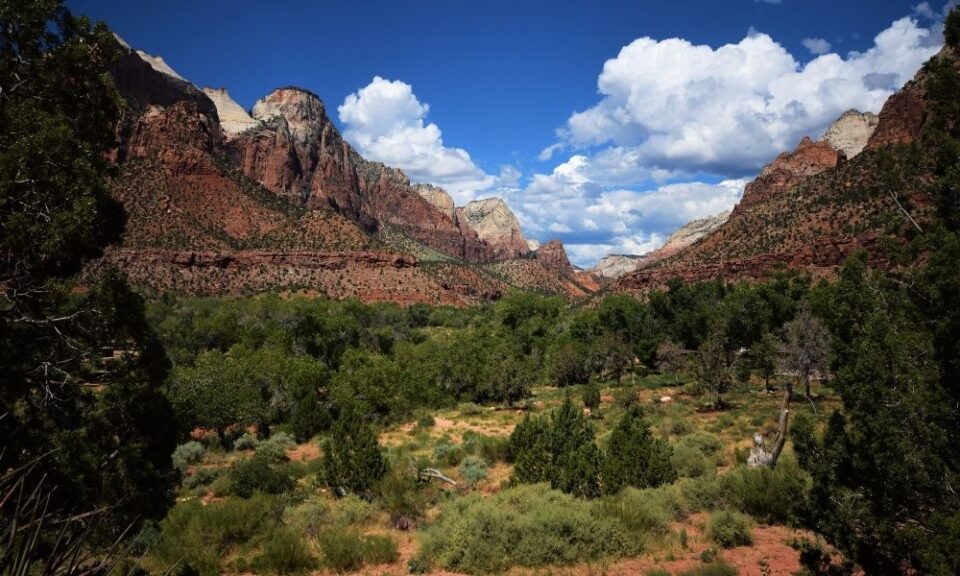 The Watchman Hiking Trail at Zion National Park