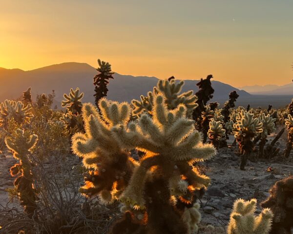 US Southwest National Parks in the Summer - PhotoJeepers