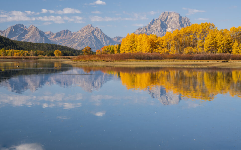 Oxbow Bend in the fall