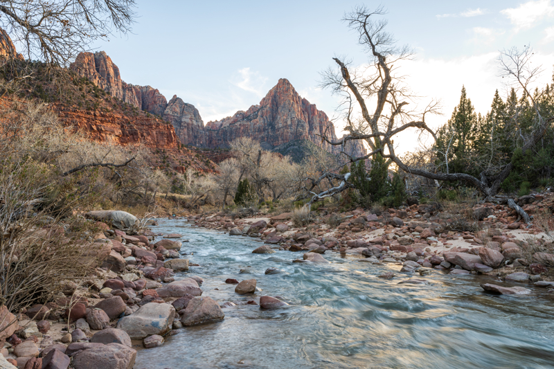 The Watchman and Virgin River at Zion