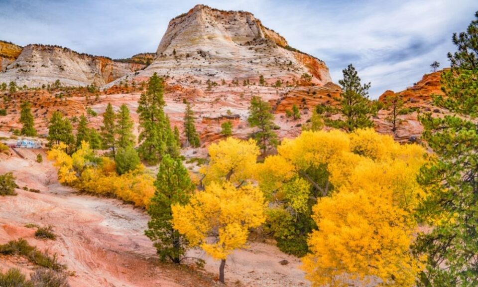 Zion NP with fall colors