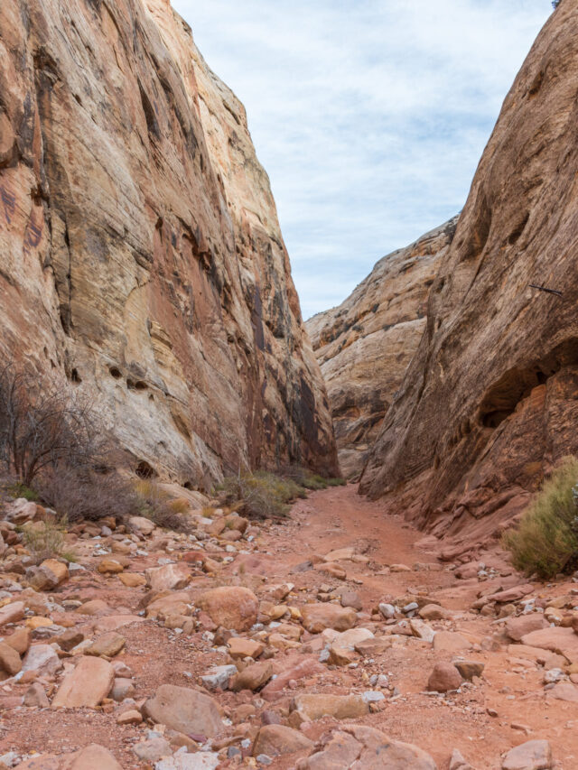 Capitol Reef National Park Spring Hikes Story