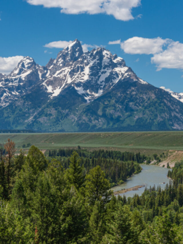 Snake River Overlook in the summer