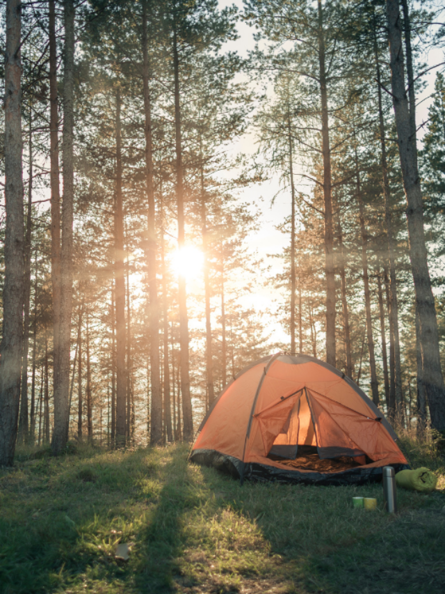 Yellowstone National Park Camping Story