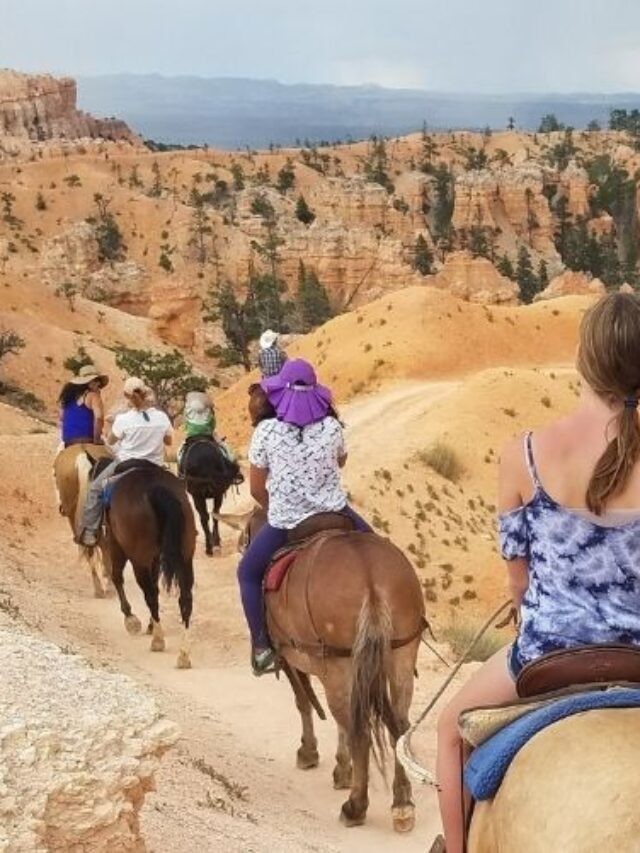 Bryce Canyon National Park Tours Story