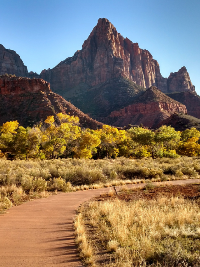 Easy Hiking Trails at Zion National Park Story