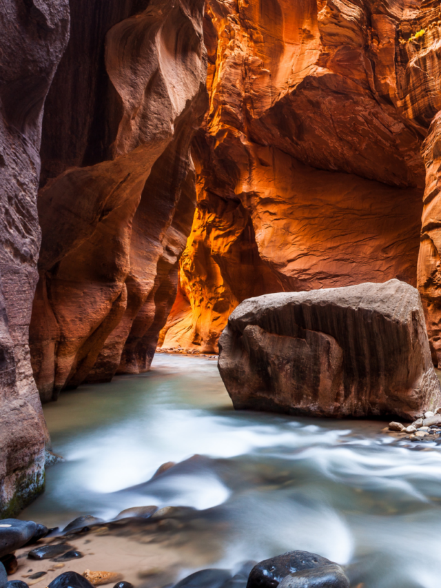 Zion National Park Tours Story