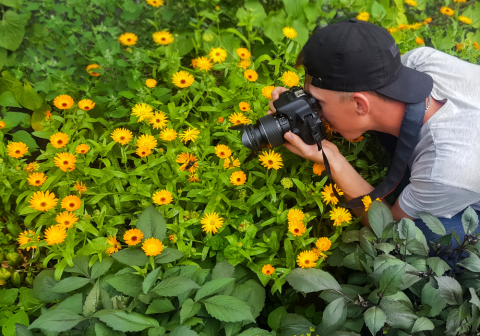 man photographing flowers