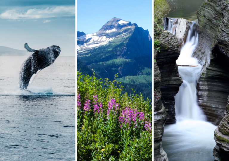 60+ Summer Vacation Spots in the US