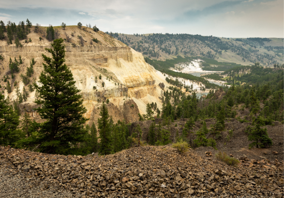 view near Tower in Yellowstone