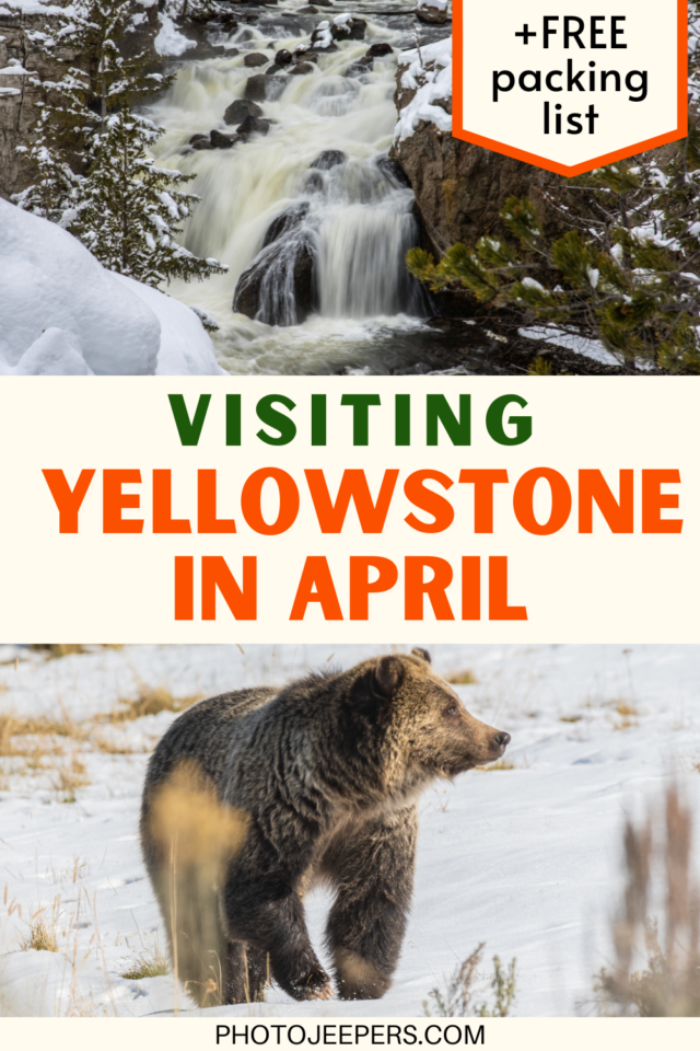 visiting Yellowstone National Park in April