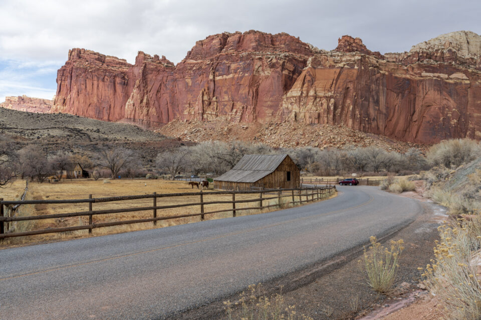 Fruita area at Capitol Reef in the fall