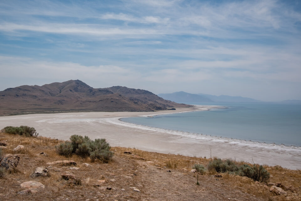 Antelope Island in the summer