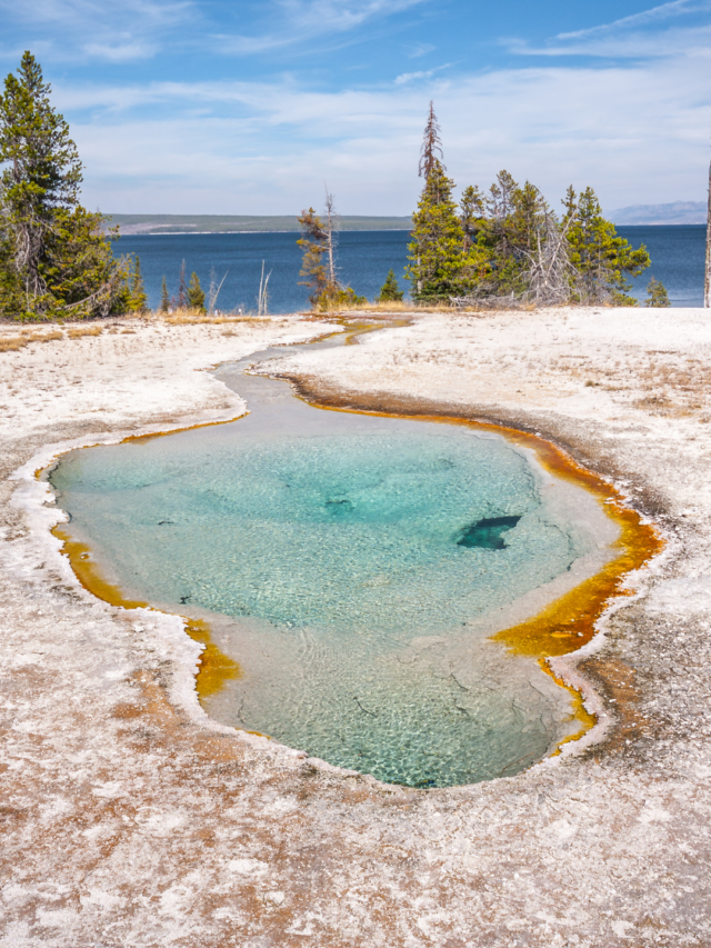 Grant and West Thumb Area Day Hikes in Yellowstone Story