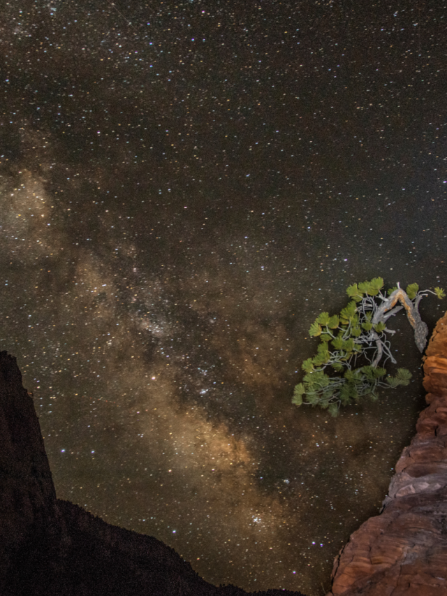 Zion National Park Summer Activities Story