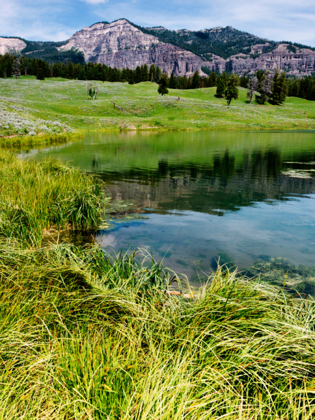 Yellowstone National Park Easy Summer Hikes Story