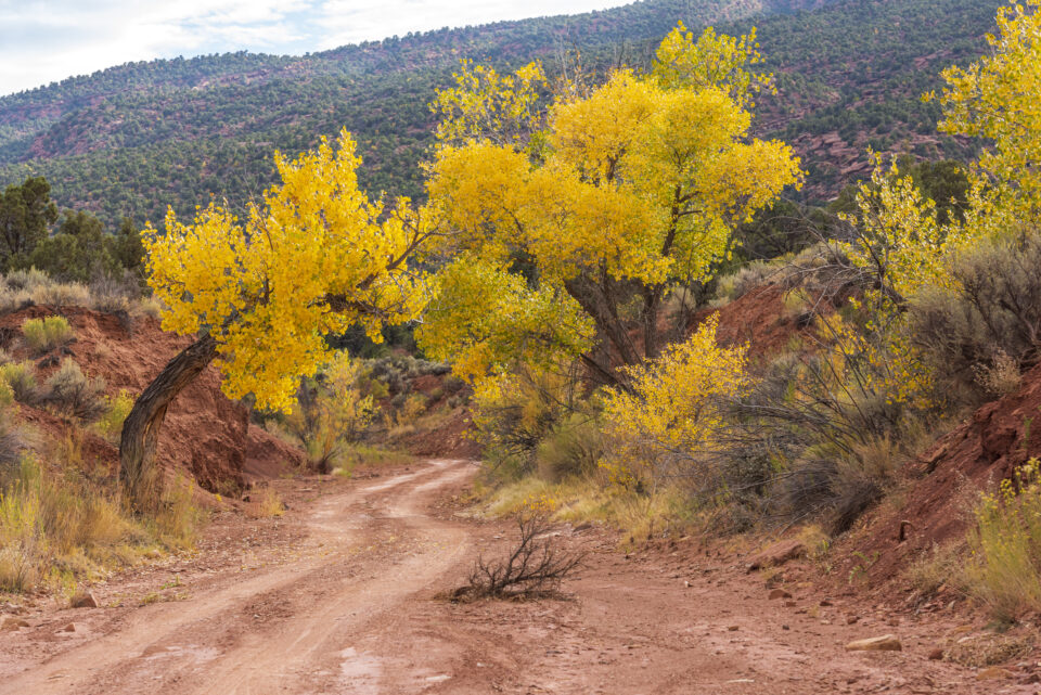 Capitol Reef offroading in the fall