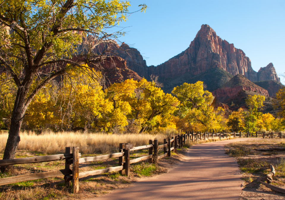 Pa'rus trail with fall colors at Zion
