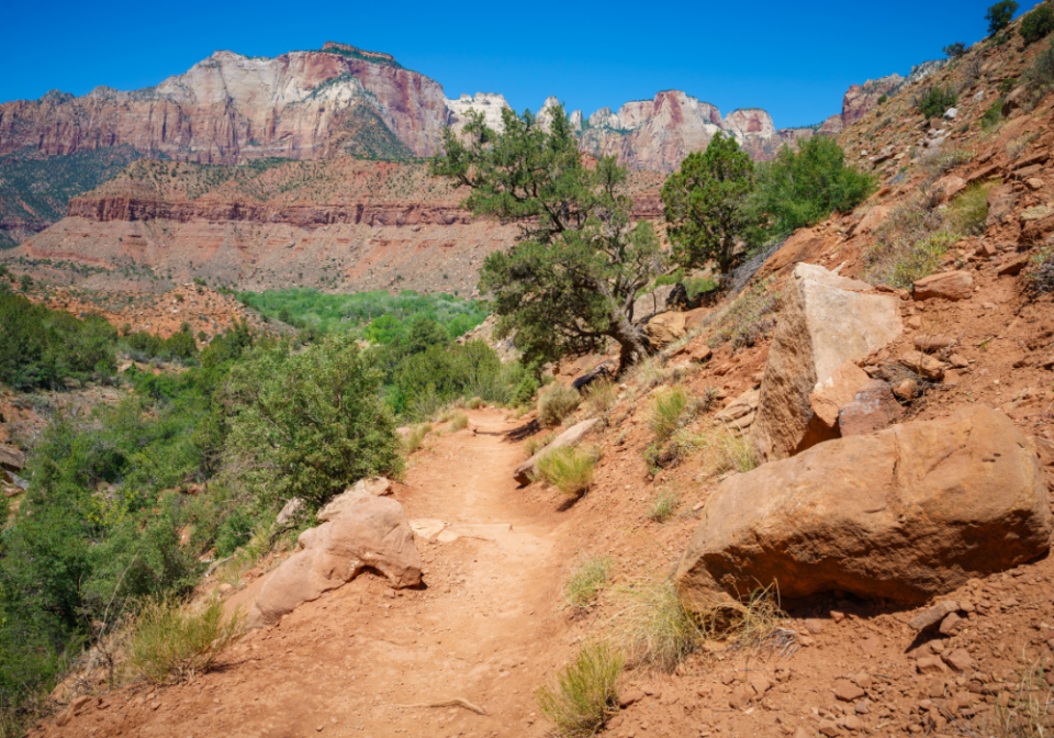 Watchman Hiking Trail at Zion