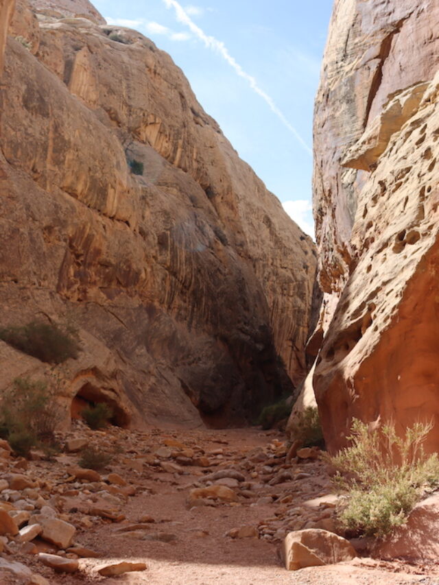Grand Wash hike