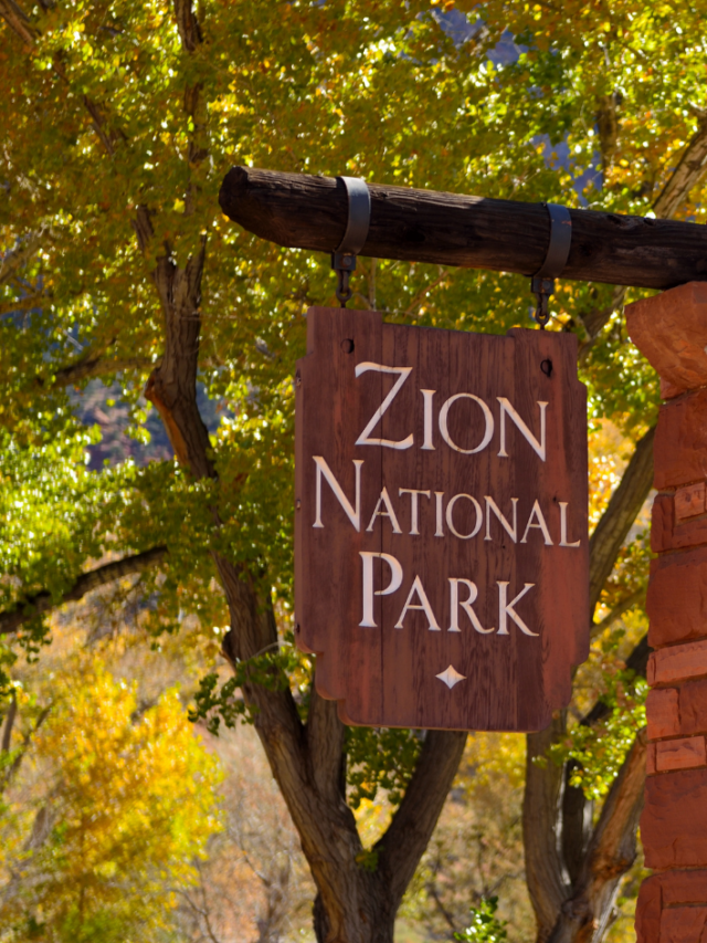 Best Month to Visit Zion National Park  Story