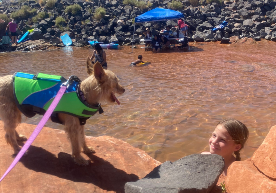 swimming at Sand Hollow with dog on a leash